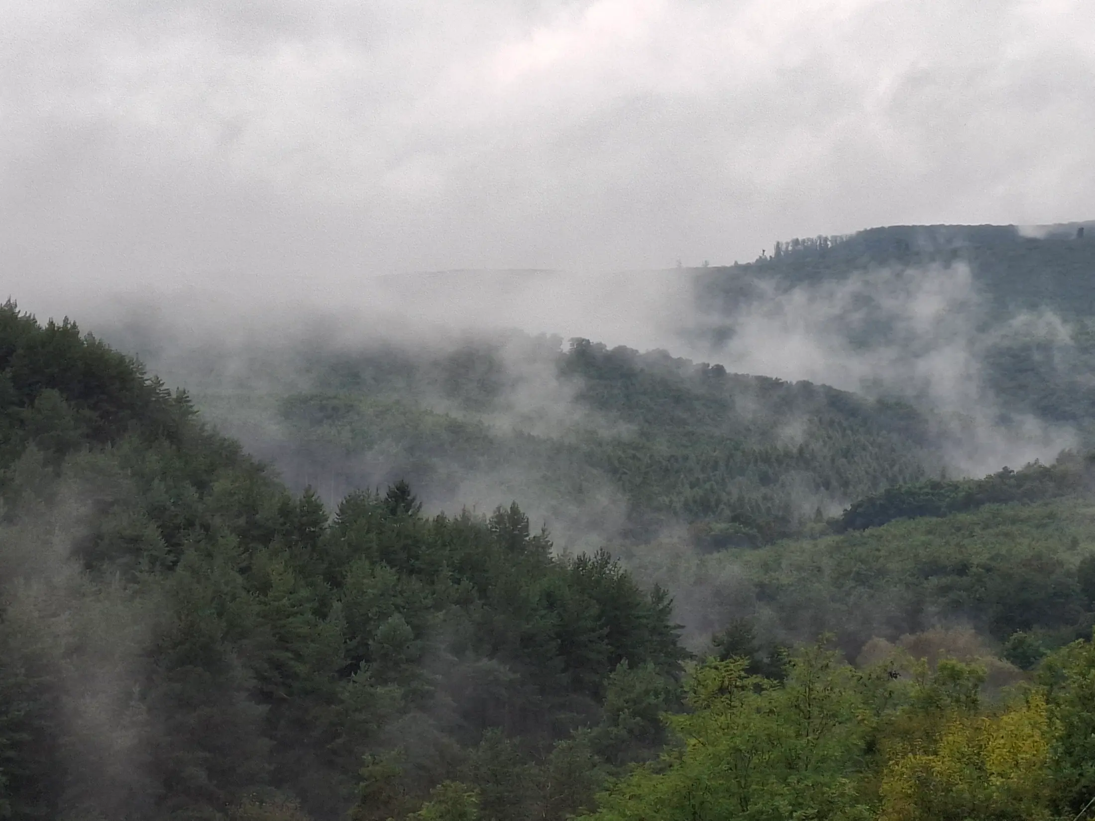 A Brónok-Völgy Vendégház utcafronti nézete, háttérben erdős dombokkal